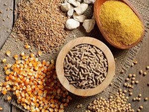 cac-loai-nguyen-lieu-thuc-an-chan-nuoi-2-300x225